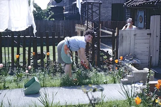 Photograph Repair After